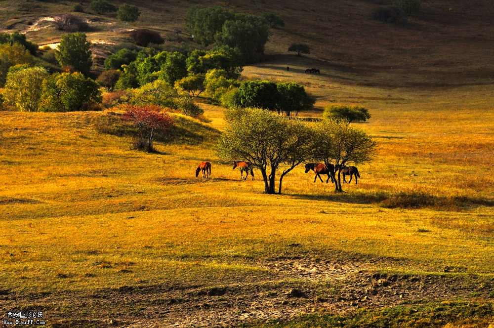 [器材]D300，镜头:尼康 70-200mm f/2.8G IF-ED [参数]光圈:8.0 快门:1/320 焦距:120 毫米 感光度:200