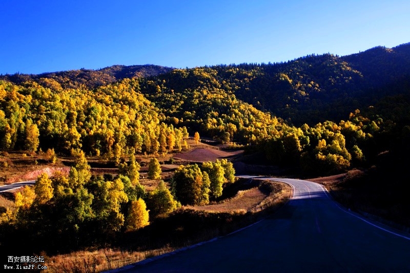  快门:1/250  光圈:F/10.0  焦距:32毫米  感光度:100