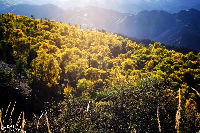 快门:1/250  光圈:F/6.3  焦距:60毫米  感光度:100