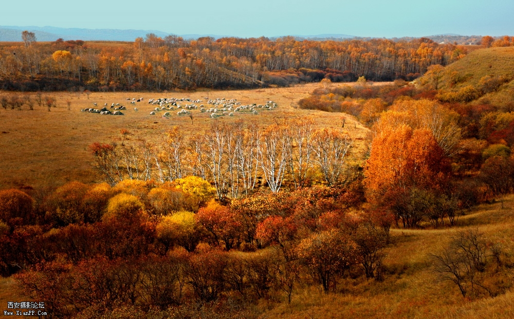 光圈: F/16.0 快门:1/80 焦距:40 毫米