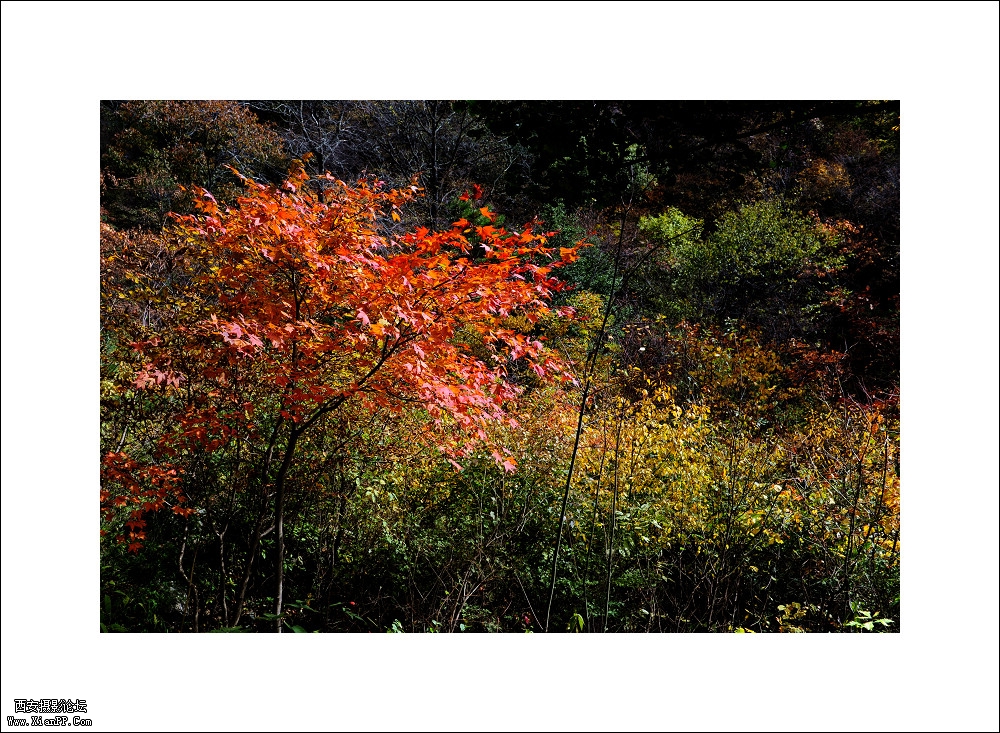 F/8.0 快门:1/250 焦距:31 毫米 感光度:400