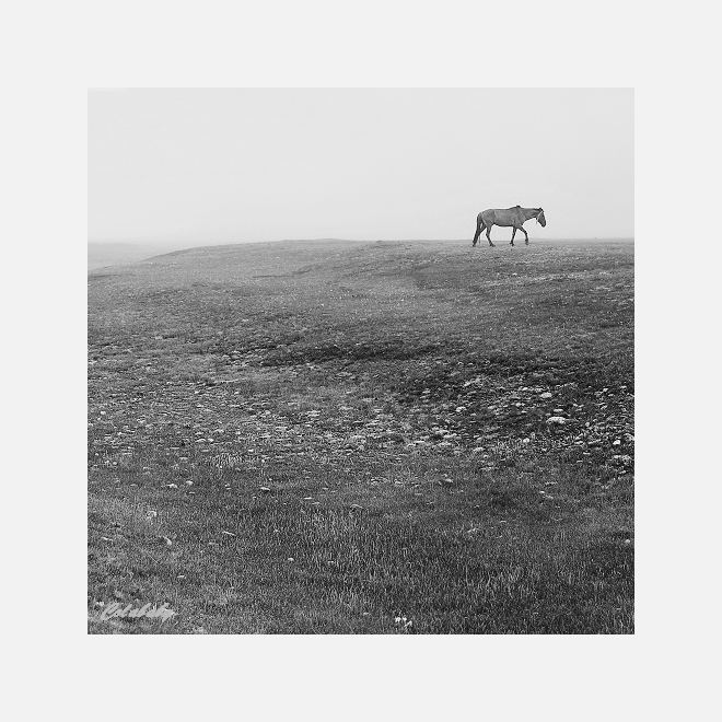 光圈: F/6.3 快门:1/60 焦距:70 毫米 感光度:400