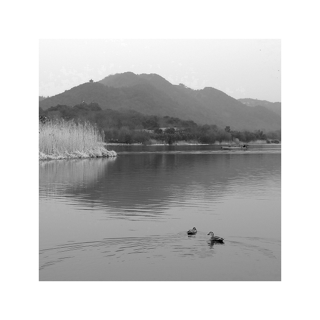  光圈: F/5.6 快门:1/100 焦距:12.8 毫米 感光度:80