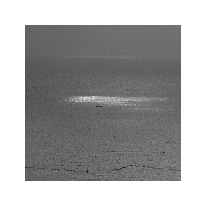 光圈: F/8.0 快门:1/320 焦距:200 毫米