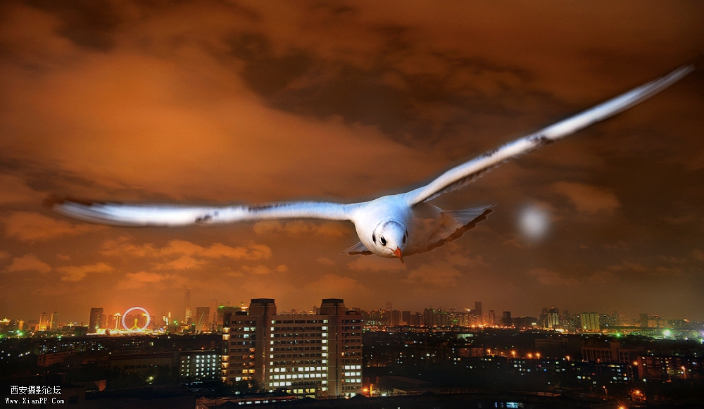 光圈: F/8.0 快门:4 焦距:32 毫米 感光度:500