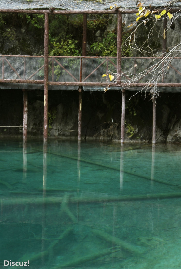 九寨沟 (278)-g.jpg