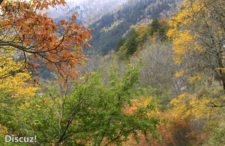 九寨沟 (634)-g.jpg