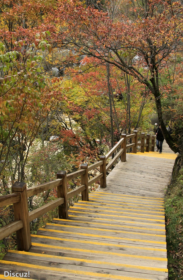 九寨沟 (642)-g.jpg