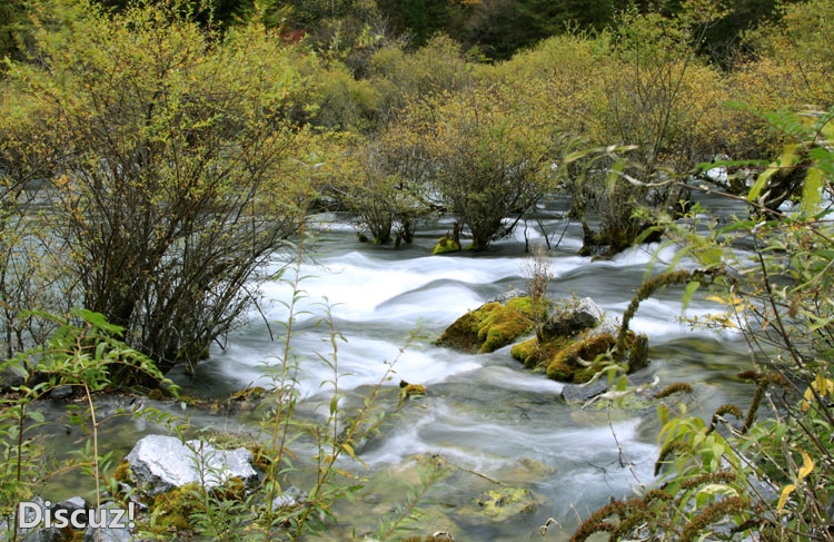 九寨沟 (720)-g.jpg