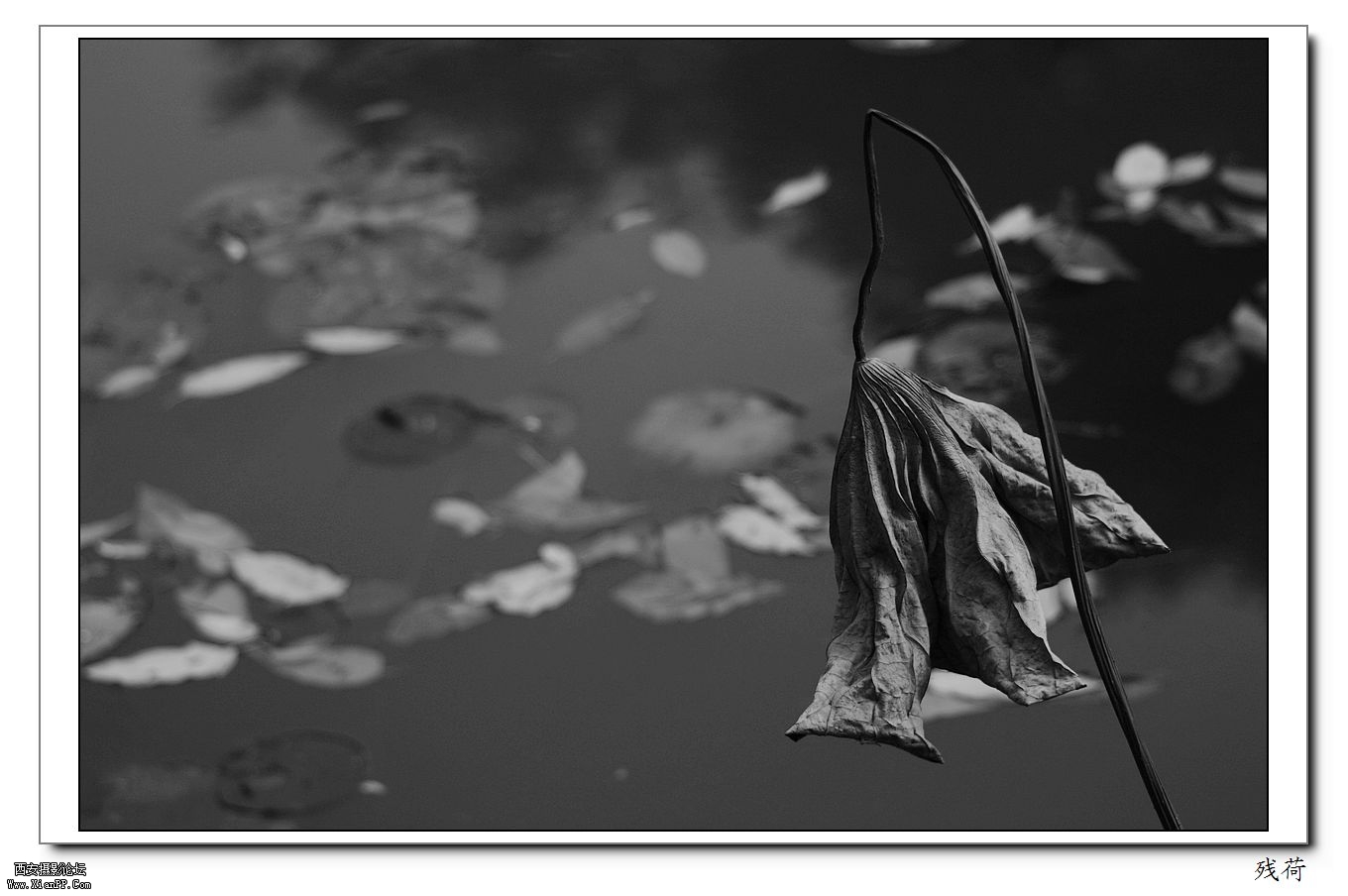 _MG_6986.jpg