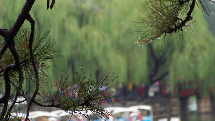 KODAK Z812 IS ZOOM DIGITAL CAMERA f/4 1/80秒 ISO64