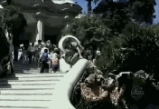 33.gif