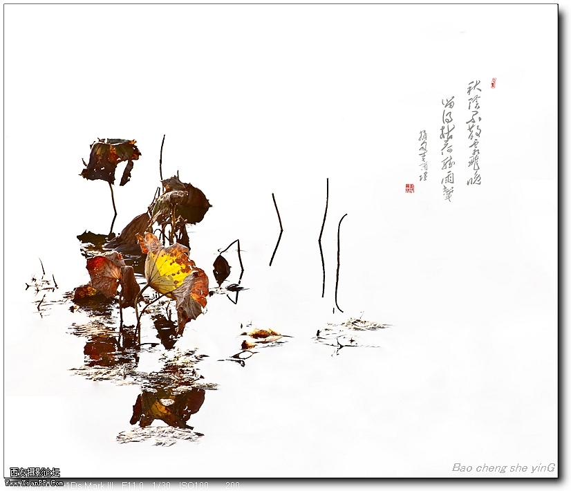  光圈: F/11.0 快门:1/30 焦距:200 毫米 感光度:100