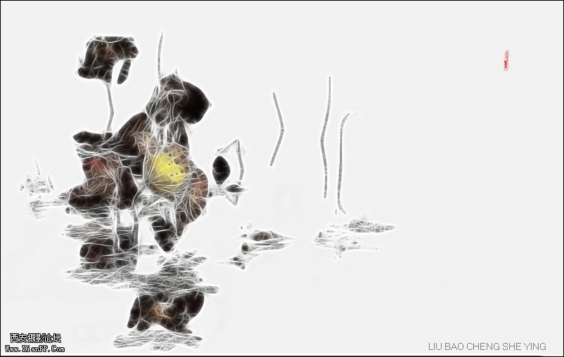  光圈: F/11.0 快门:1/30 焦距:200 毫米 感光度:100