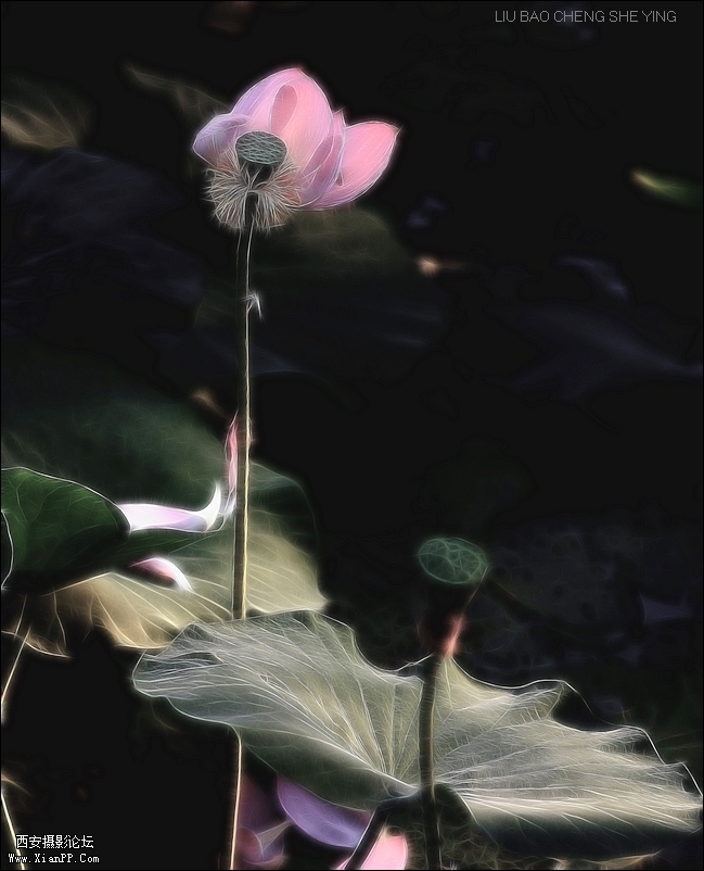 光圈: F/3.2 快门:1/500 焦距:200 毫米 感光度:200