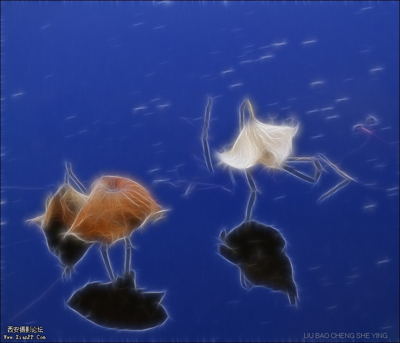 光圈: F/3.2 快门:1/200 焦距:135 毫米 感光度:100