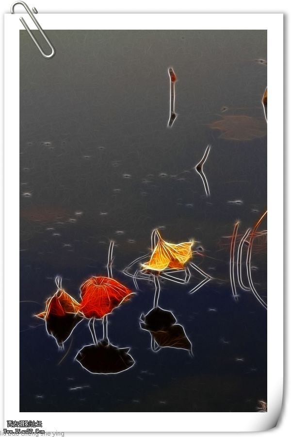 光圈: F/4.5 快门:1/100 焦距:120 毫米 感光度:100