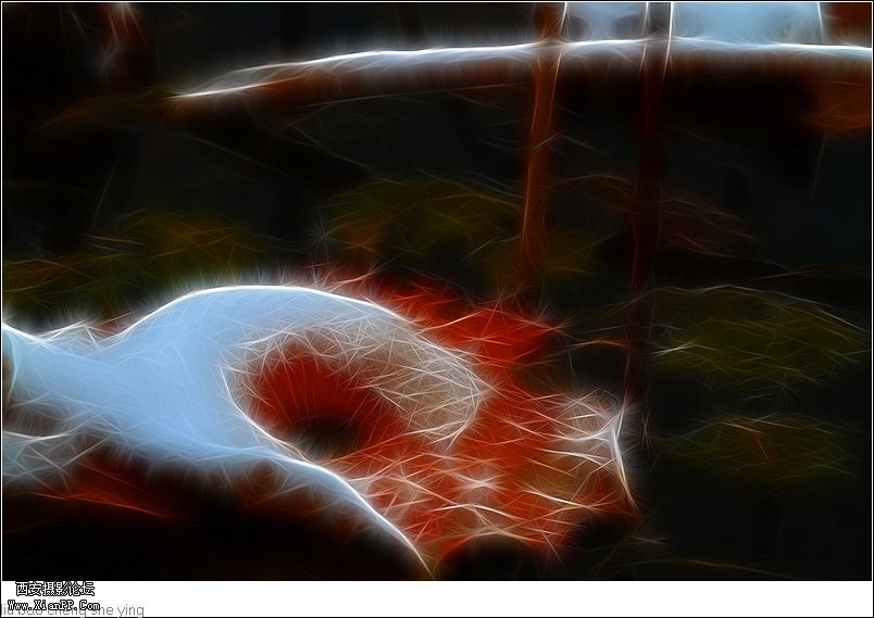 光圈: F/5.0 快门:1/250 焦距:148 毫米 感光度:100