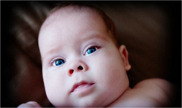 Photo by Bako Lajos Bela