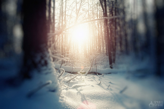 photo by Ivan Evgenyev