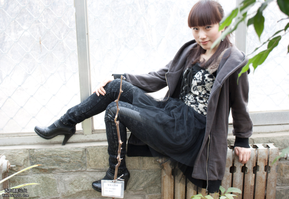 Janna Window Frame.png