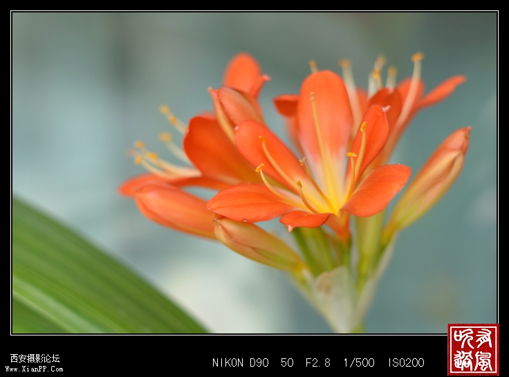 DSC_3261.jpg