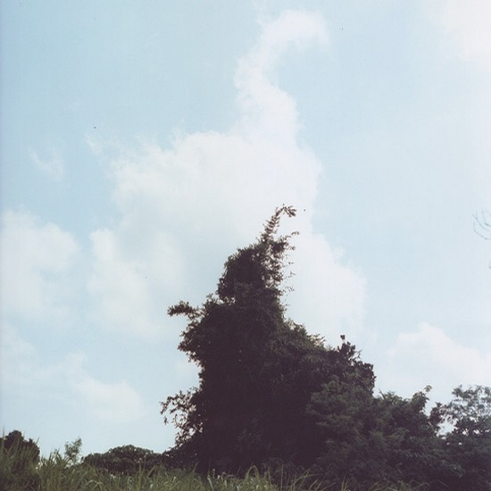 p244086035.jpg