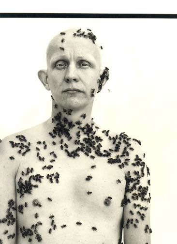AVEDON6.jpg