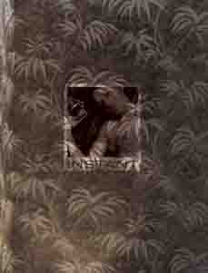 002564bb45520ddc095113.jpg