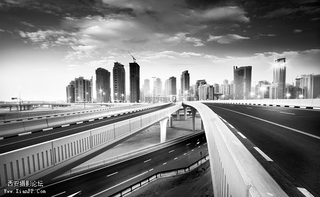 photo by Alisdair Miller