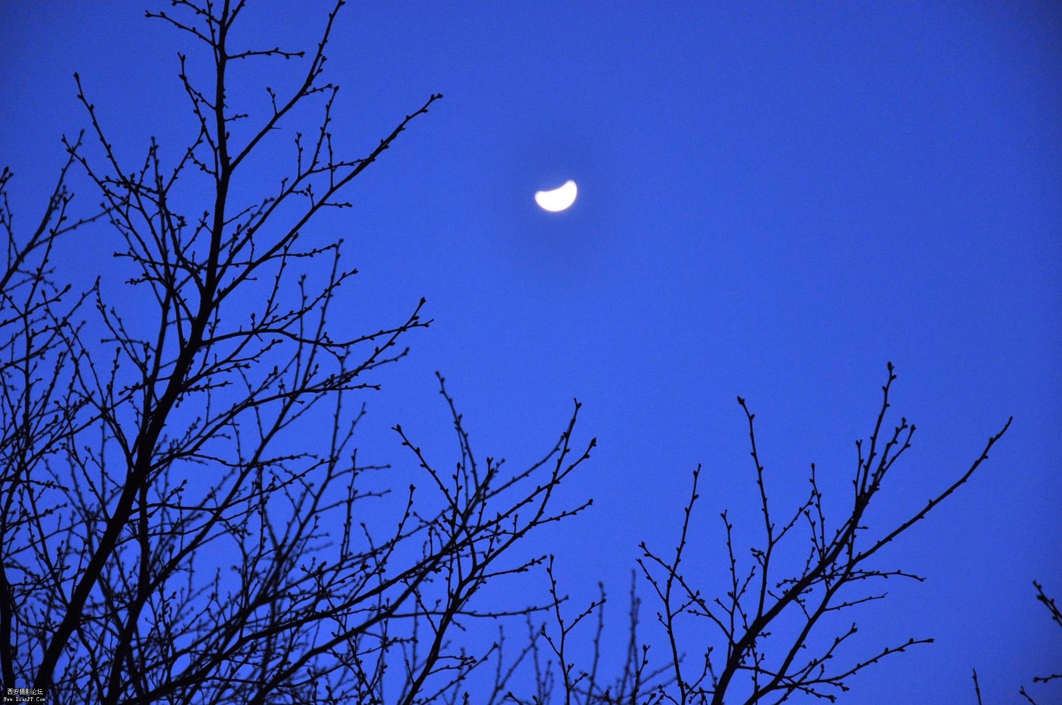 DSC_0030.JPG