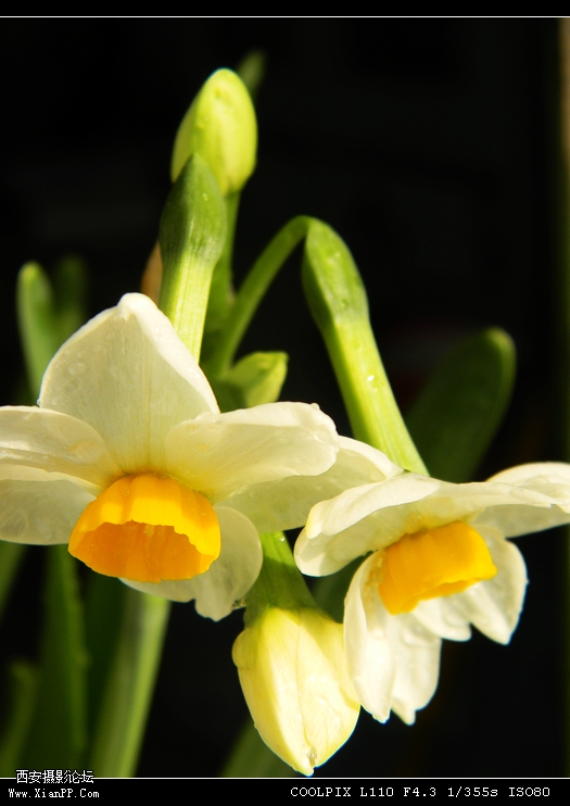 DSCN2567.jpg
