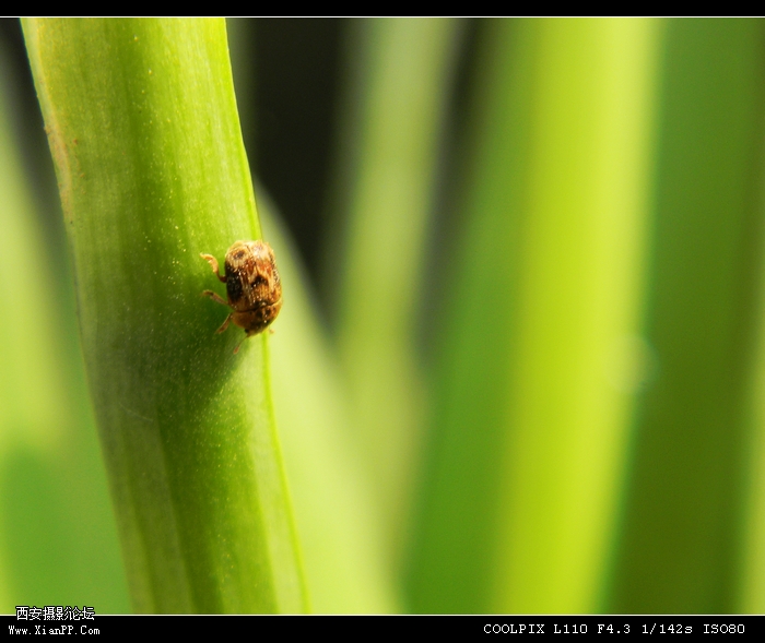 DSCN2572.jpg