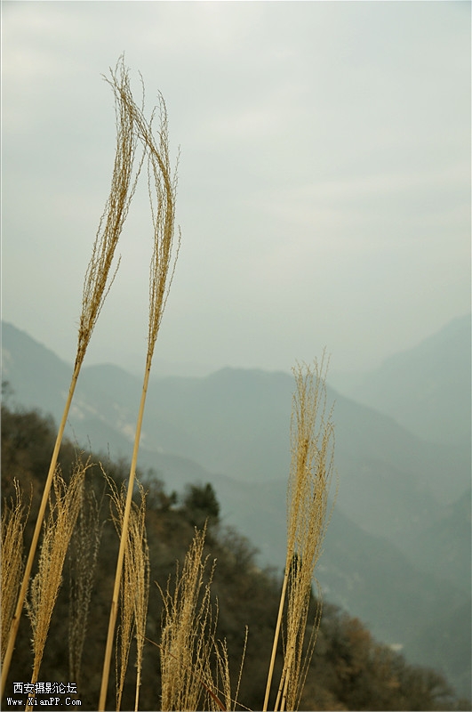 DSC_0803_副本.jpg