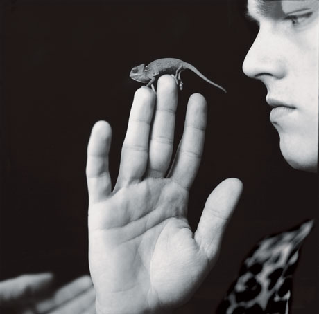 fasl04_dicaprio0705.jpg