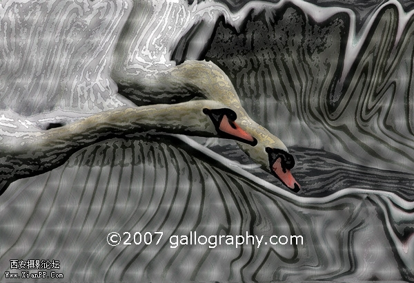 Come Fly With Me.jpg