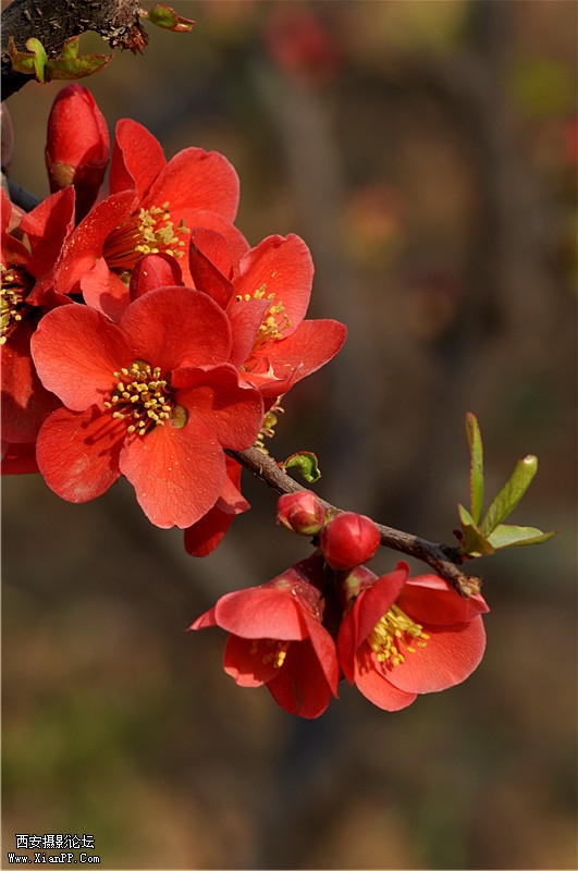 DSC_0428_副本.jpg
