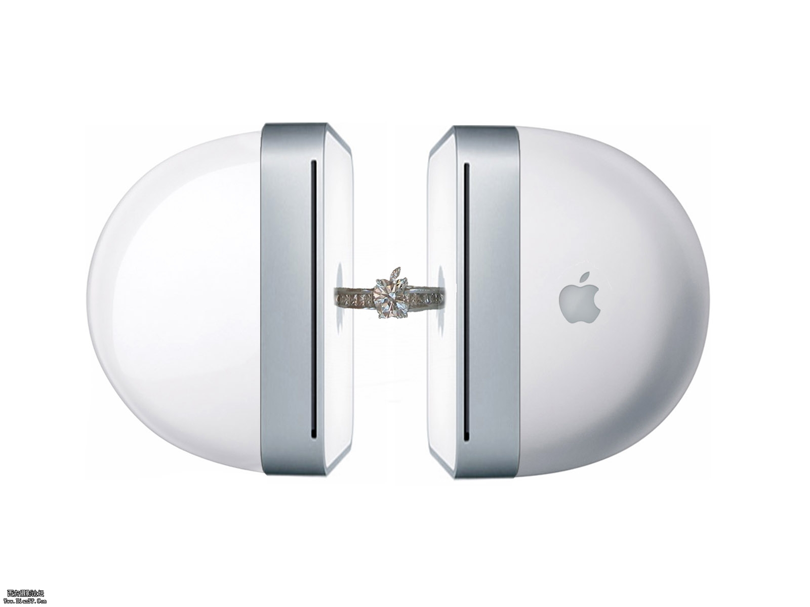 iPod_10012.jpg