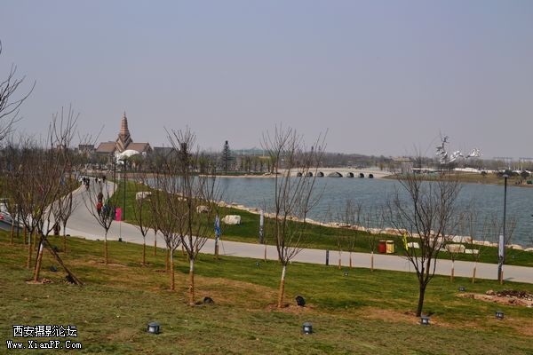 DSC_024725.jpg