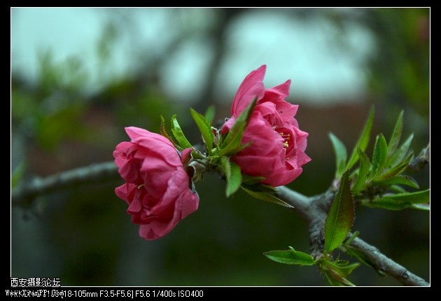 DSC_014625.jpg