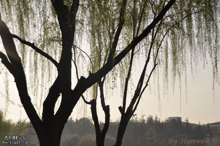 p_large_U7YS_400f000244145c43.jpg