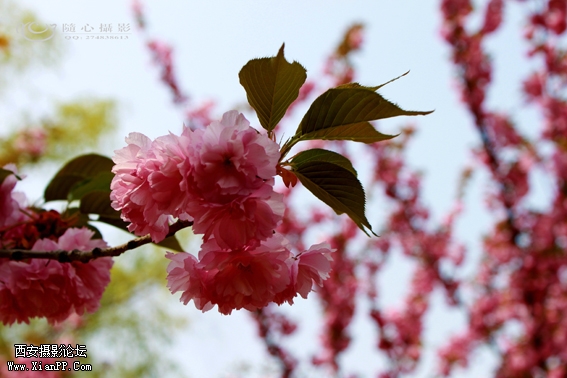 IMG_5959.jpg