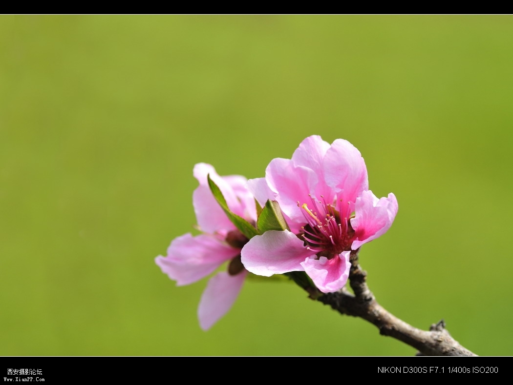 _WZG4772_缩小大小.JPG