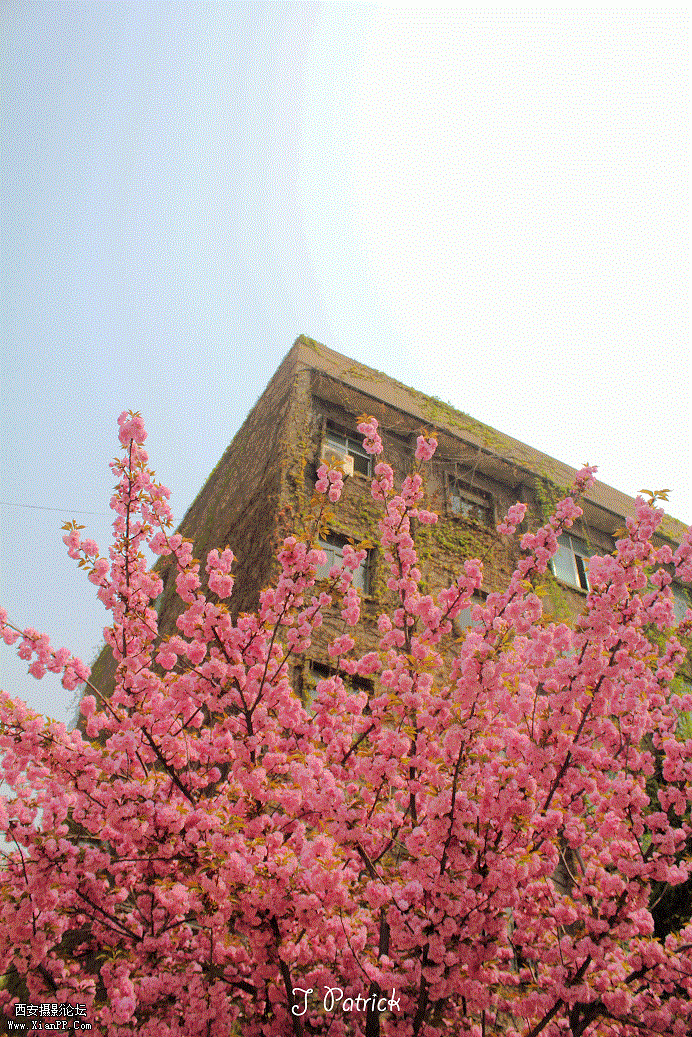 IMG_8269.gif