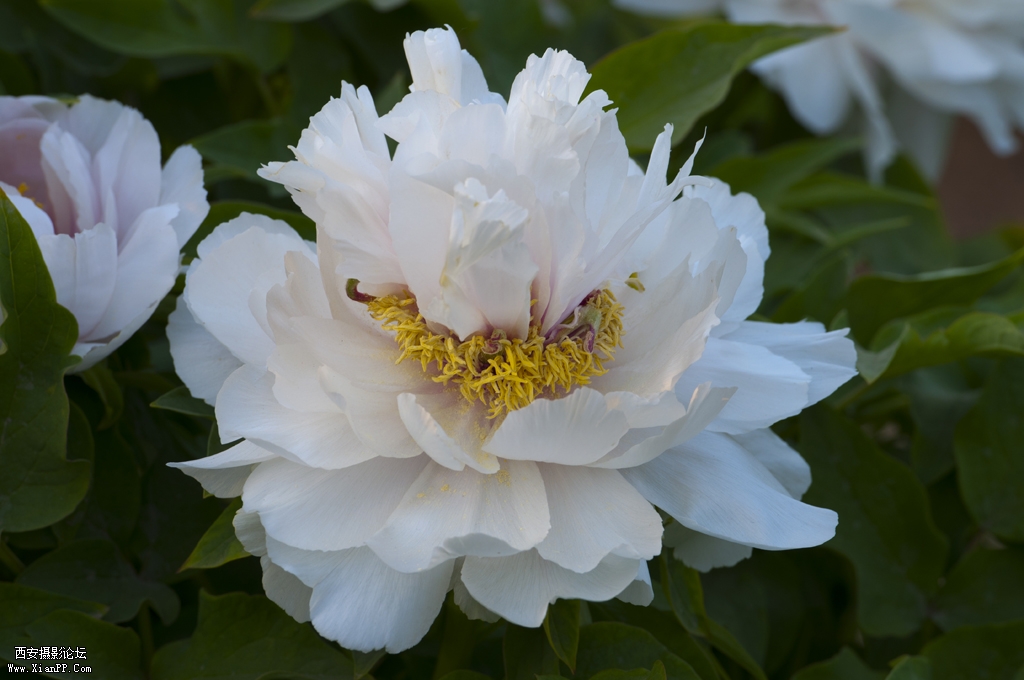 DSC_0189.jpg