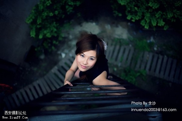 large_2335f58.jpg