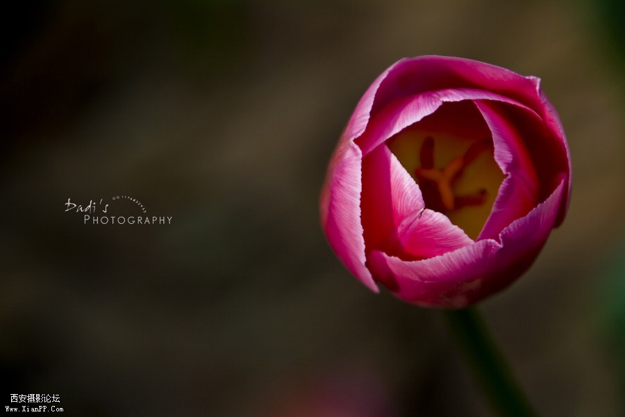 IMG_1046r (900x600).jpg