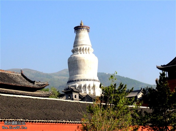 DSC01339_副本.jpg
