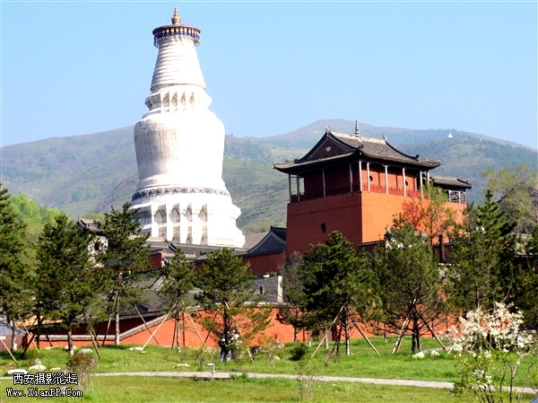 DSC01352_副本.jpg