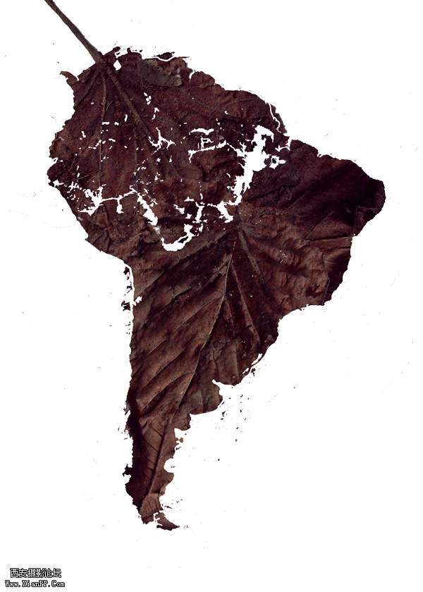 p_large_DNSC_3510a017017.jpg